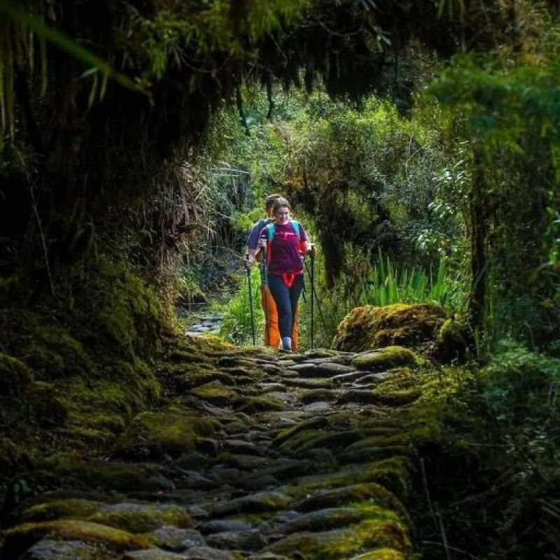 Sobre el Camino Inca desde Panamá