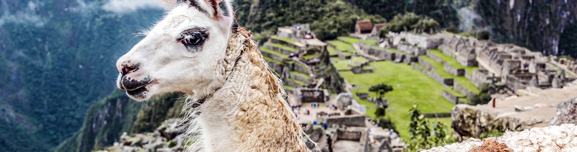 Machu Picchu 8D7N Viajero (Full Cultural)  desde Panamá